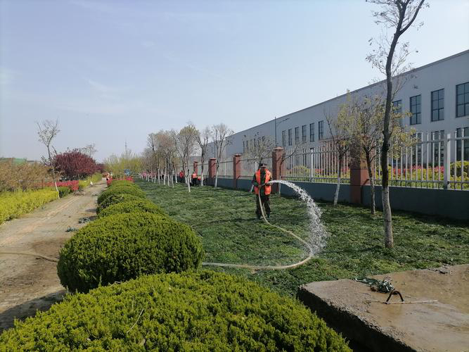 安徽皖新電機有限公司廠區(qū)園林綠化養(yǎng)護改造工程(圖3) 1 副本.jpg